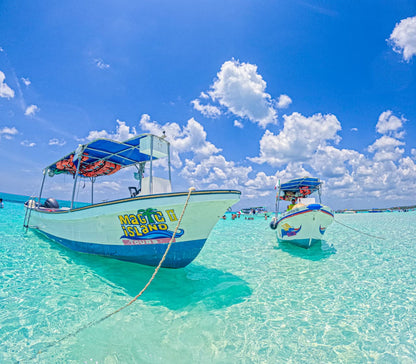 Magic island Tour: Cozumel (4 Horas)