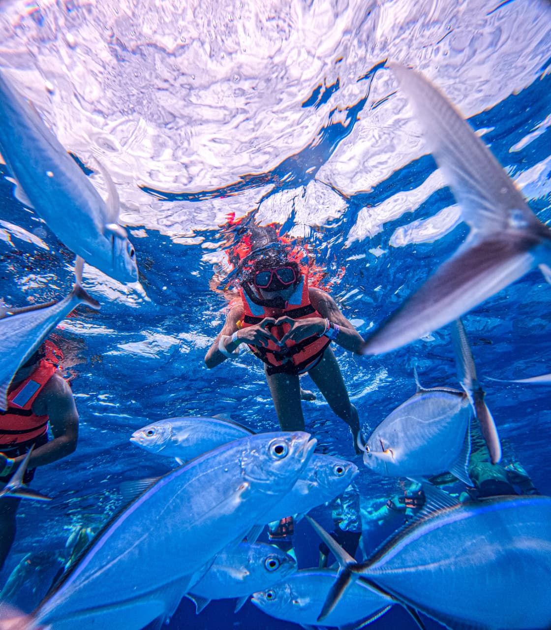 Snorkelista rodeada de un cardumen de peces