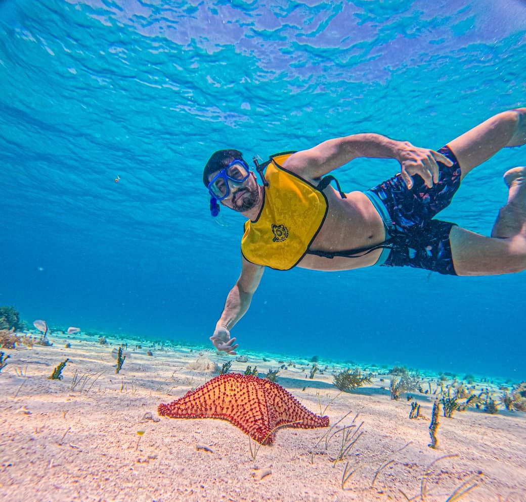 Snorkelista nadando sobre una estrella de mar